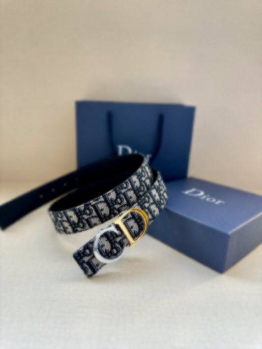 CD Belt
